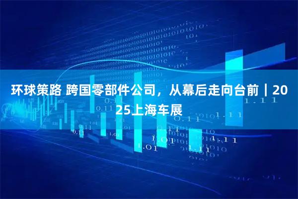 环球策路 跨国零部件公司，从幕后走向台前｜2025上海车展