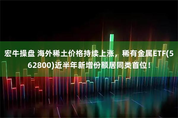 宏牛操盘 海外稀土价格持续上涨，稀有金属ETF(562800)近半年新增份额居同类首位！