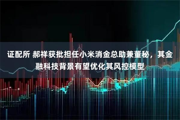 证配所 郝祥获批担任小米消金总助兼董秘，其金融科技背景有望优化其风控模型